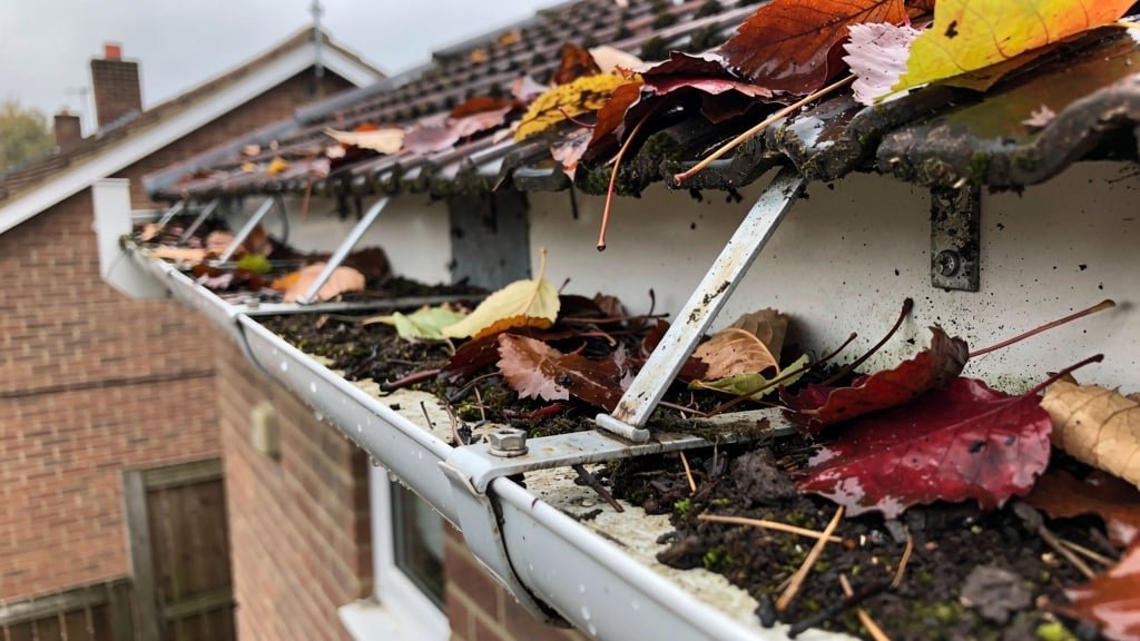 Gutter and drainage problems